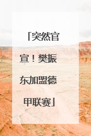 突然官宣！樊振东加盟德甲联赛