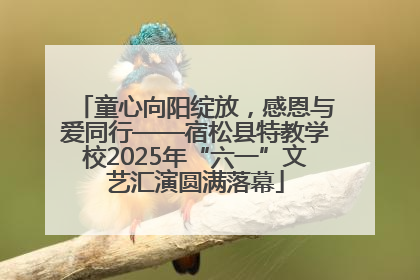 童心向阳绽放，感恩与爱同行——宿松县特教学校2025年“六一”文艺汇演圆满落幕