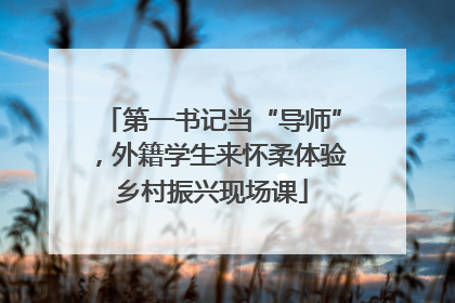 第一书记当“导师”，外籍学生来怀柔体验乡村振兴现场课