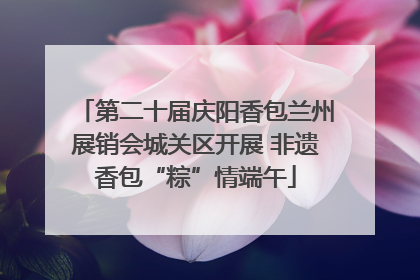 第二十届庆阳香包兰州展销会城关区开展 非遗香包“粽”情端午