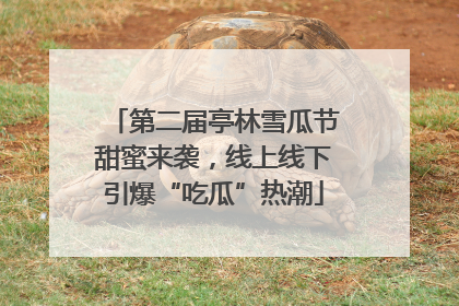 第二届亭林雪瓜节甜蜜来袭，线上线下引爆“吃瓜”热潮
