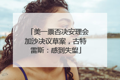 美一票否决安理会加沙决议草案，古特雷斯：感到失望