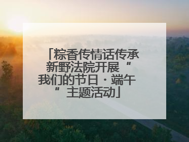 粽香传情话传承 新野法院开展“我们的节日・端午”主题活动