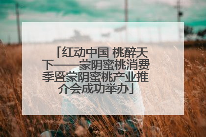 红动中国 桃醉天下——蒙阴蜜桃消费季暨蒙阴蜜桃产业推介会成功举办