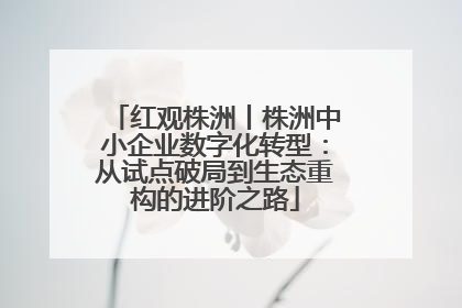 红观株洲丨株洲中小企业数字化转型：从试点破局到生态重构的进阶之路