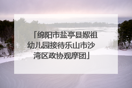 绵阳市盐亭县嫘祖幼儿园接待乐山市沙湾区政协观摩团