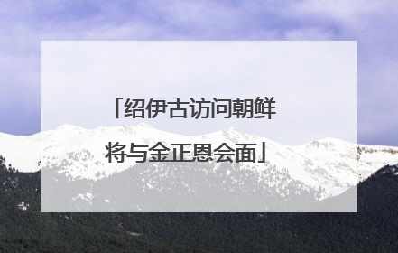 绍伊古访问朝鲜 将与金正恩会面