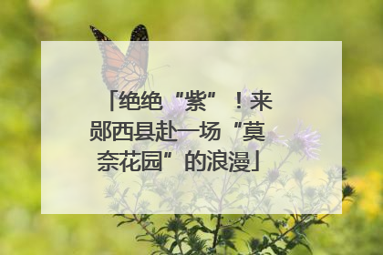 绝绝“紫”！来郧西县赴一场“莫奈花园”的浪漫