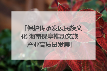保护传承发展民族文化 海南保亭推动文旅产业高质量发展