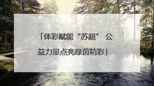 体彩赋能“苏超” 公益力量点亮绿茵精彩