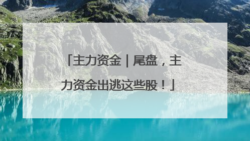 主力资金｜尾盘，主力资金出逃这些股！