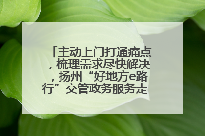 主动上门打通痛点，梳理需求尽快解决，扬州“好地方e路行”交管政务服务走进规上企业