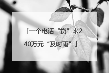 一个电话“贷”来240万元“及时雨”