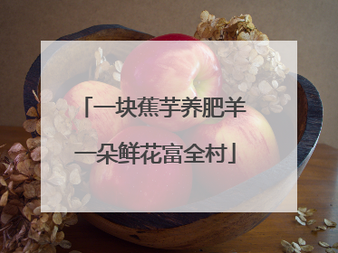 一块蕉芋养肥羊 一朵鲜花富全村