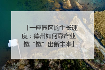 一座园区的生长速度：德州如何靠产业链“链”出新未来