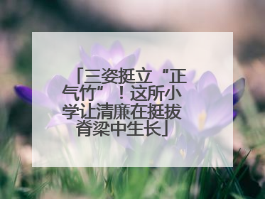 三姿挺立“正气竹”！这所小学让清廉在挺拔脊梁中生长