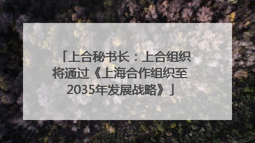 上合秘书长：上合组织将通过《上海合作组织至2035年发展战略》