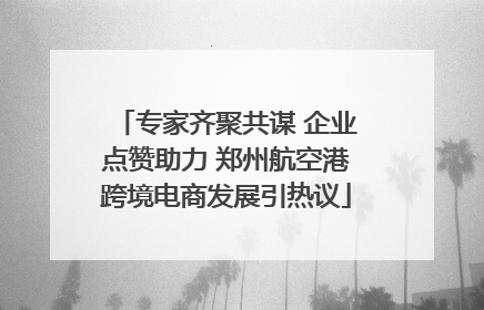 专家齐聚共谋 企业点赞助力 郑州航空港跨境电商发展引热议
