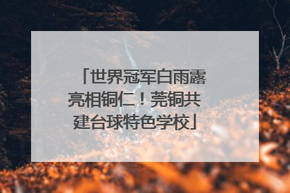 世界冠军白雨露亮相铜仁！莞铜共建台球特色学校