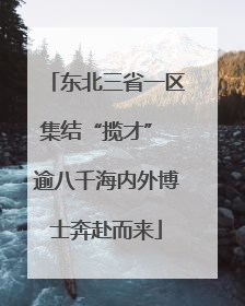 东北三省一区集结“揽才” 逾八千海内外博士奔赴而来