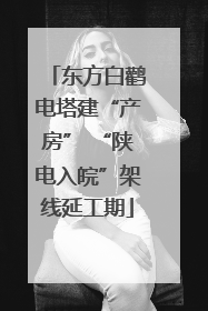 东方白鹳电塔建“产房” “陕电入皖”架线延工期