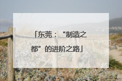 东莞：“制造之都”的进阶之路