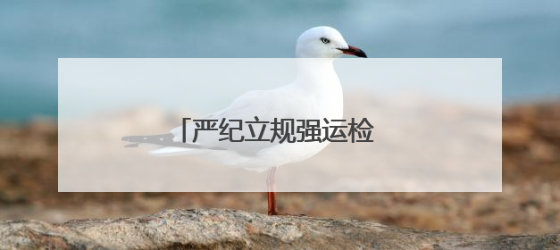 严纪立规强运检 精技实干护电网