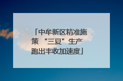 中牟新区精准施策 “三夏”生产跑出丰收加速度