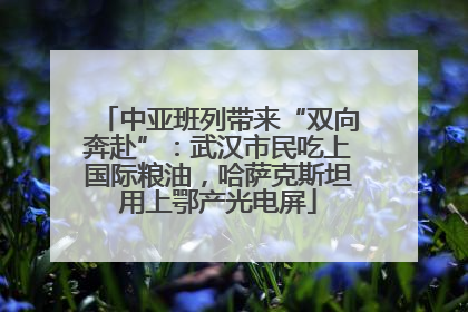 中亚班列带来“双向奔赴”：武汉市民吃上国际粮油，哈萨克斯坦用上鄂产光电屏
