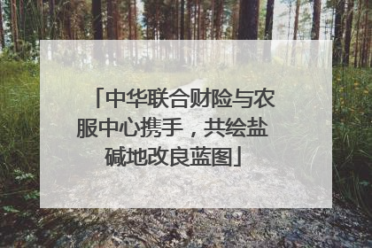 中华联合财险与农服中心携手，共绘盐碱地改良蓝图