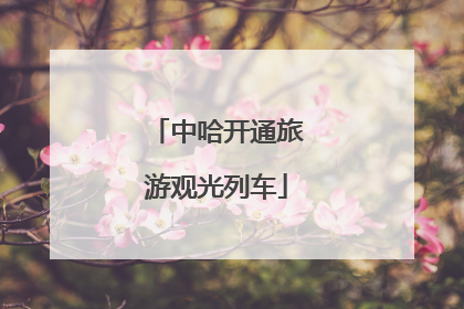 中哈开通旅游观光列车