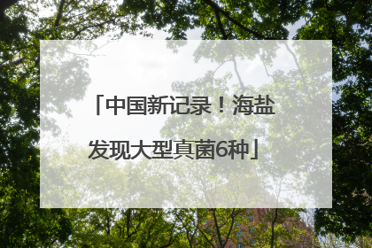 中国新记录！海盐发现大型真菌6种