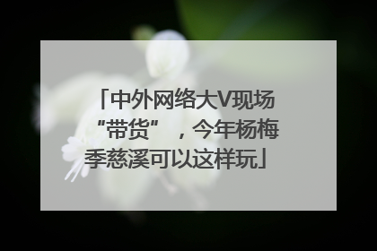 中外网络大V现场“带货”，今年杨梅季慈溪可以这样玩