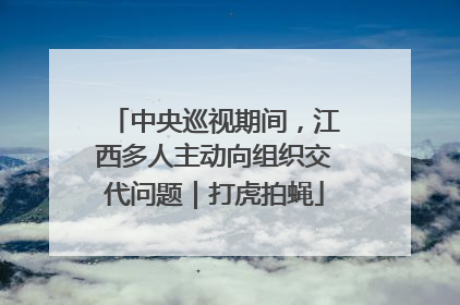 中央巡视期间，江西多人主动向组织交代问题｜打虎拍蝇