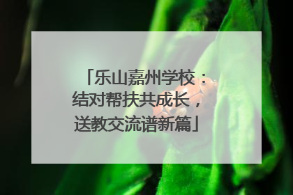 乐山嘉州学校：结对帮扶共成长，送教交流谱新篇