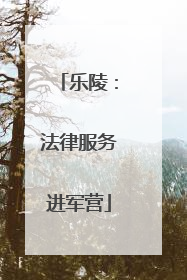 乐陵：法律服务进军营