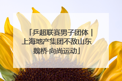 乒超联赛男子团体｜上海地产集团不敌山东魏桥·向尚运动