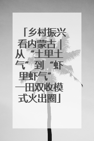 乡村振兴看内蒙古｜从“土里土气”到“虾里虾气” 一田双收模式火出圈
