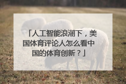 人工智能浪潮下，美国体育评论人怎么看中国的体育创新？