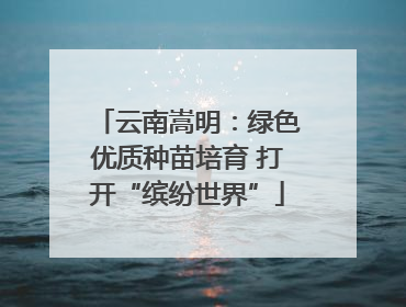 云南嵩明：绿色优质种苗培育 打开“缤纷世界”