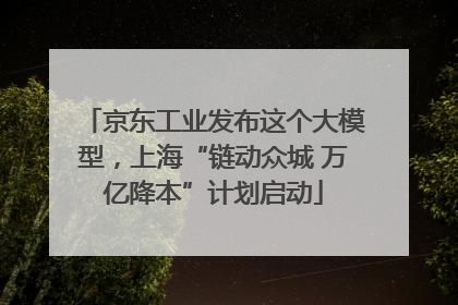京东工业发布这个大模型，上海“链动众城 万亿降本”计划启动