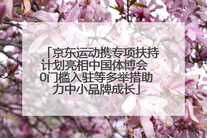 京东运动携专项扶持计划亮相中国体博会 0门槛入驻等多举措助力中小品牌成长