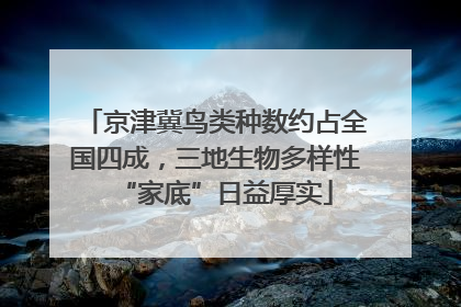 京津冀鸟类种数约占全国四成，三地生物多样性“家底”日益厚实
