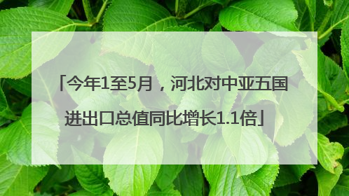 今年1至5月，河北对中亚五国进出口总值同比增长1.1倍