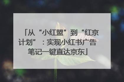 从“小红盟”到“红京计划”：实现小红书广告笔记一键直达京东