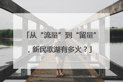 从“流量”到“留量”，新民歌湖有多火？