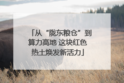 从“陇东粮仓”到算力高地 这块红色热土焕发新活力