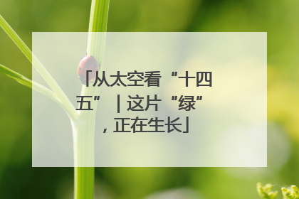 从太空看“十四五”｜这片“绿”，正在生长