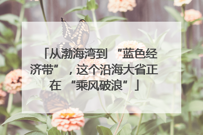 从渤海湾到 “蓝色经济带”，这个沿海大省正在 “乘风破浪”