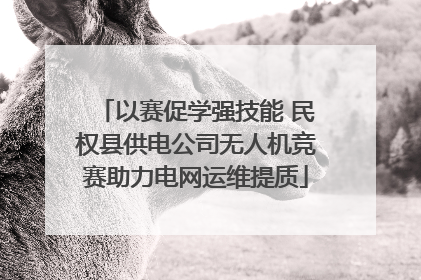 以赛促学强技能 民权县供电公司无人机竞赛助力电网运维提质